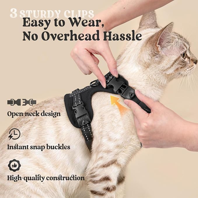 rabbitgoo Cat Harness and Leash, Easy-on with Neck Buckle, Black