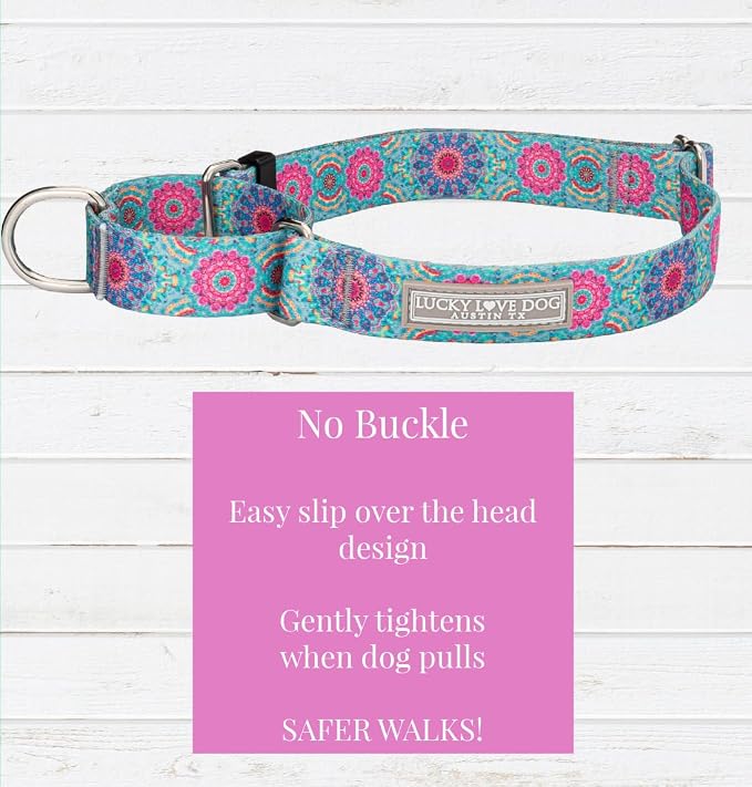 Lucky Love Dog Martingale Collar & Leash Set No Slip Cute – Clara, Medium