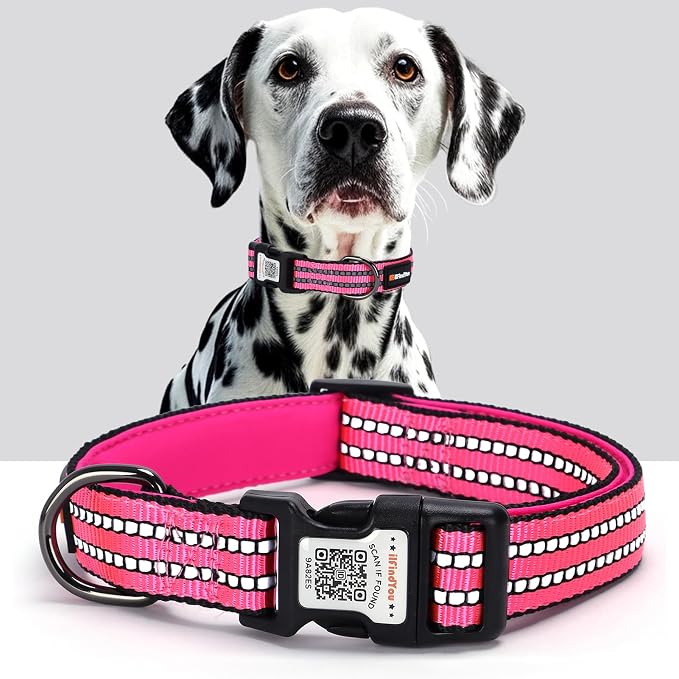 Personalized Dog Collar with QR Code Dog Tag, Rose Red S | Anti-lost, 1000D nylon, reflective, padded, XS-L(8"-24"), QR buckle shares lost pet profile, location alerts when scanned