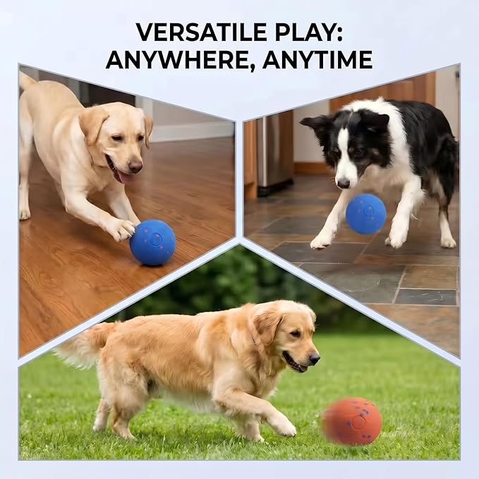 Smart Interactive Dog Bouncing Ball, Thickened ETPU for Aggressive Chewers