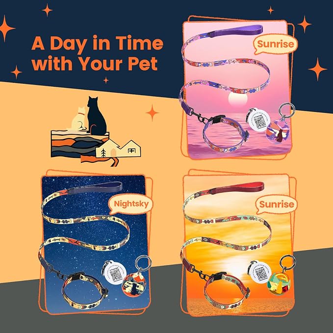 Dog Collar and Leash Set with QR ID Tag, 5 FT Leash, Dark Blue, M