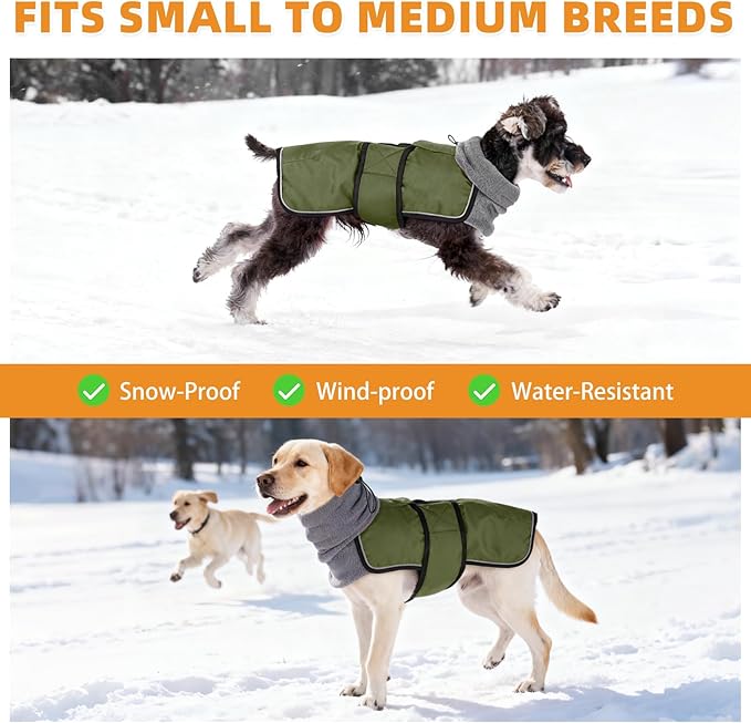 KOOLTAIL Dog Winter Coat for Small Medium Dogs, Waterproof&Windproof Puppy Jacket with Fleece Lining and High Collar for Cold Weather, Reflective Warm Pet Snowsuit Vest Clothes with Leash Hole,Green S