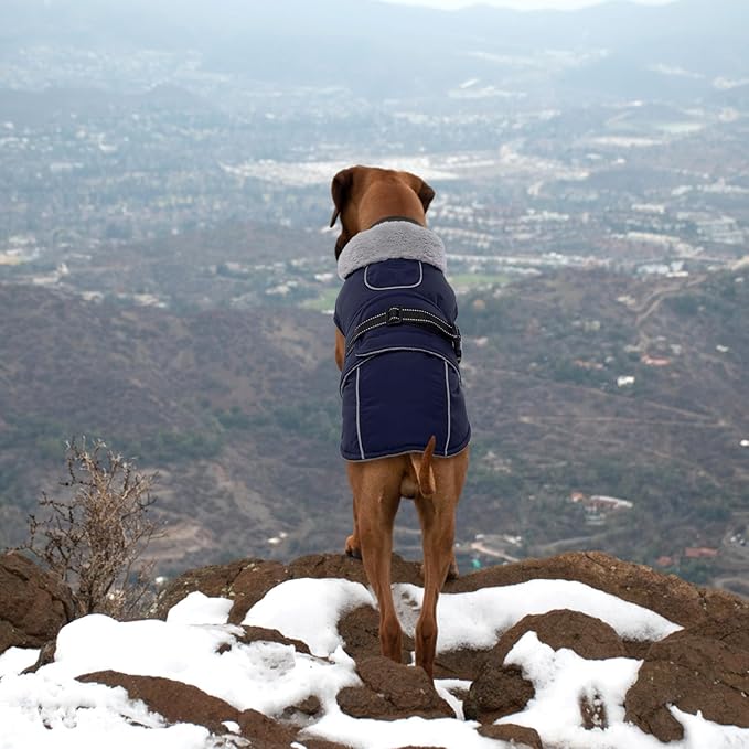 Lelepet Warm Dog Coat Waterproof Dog Jacket for Large Dogs Reflective Fleece Vest with Adjustable Buckle Hook & Loop Windproof Cold Weather Coats for Small Medium Large Dogs, Navy Blue, XL
