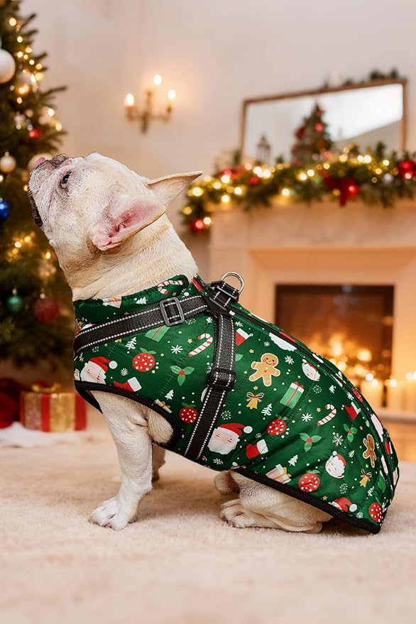 Aiboria Dog Jackets for Winter Windproof Waterproof Vest Fleece Warm Dogs Coat with Belt Christmas Green XXL