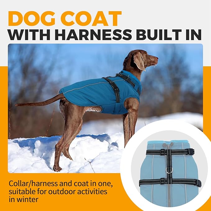 Lelepet Dog Coat for Large Dogs Waterproof Dog Jacket with Harness Built in Reflective Windproof Fleece Jacket with Zip Cold Weather Coats for Dogs,Thermal Outdoor Snowsuit, Weimaraner, Blue, XXL