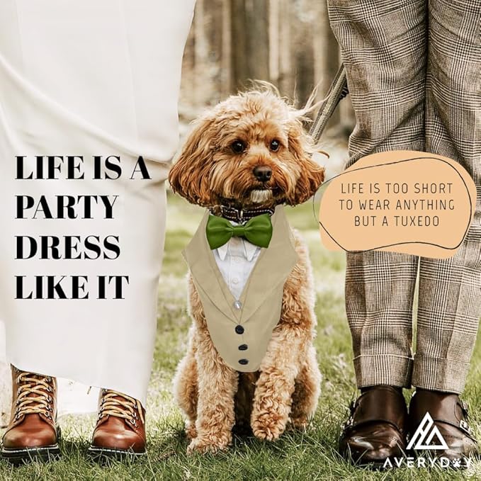 AVERYDAY Dog Tuxedo for Wedding Outfit, Dog Suit and Tie Costumes for Birthday, Halloween, Cosplay, Christmas Party, Pet Formal Wear with Bowtie, Tux for Medium Large Dogs, Bulldog, Labrador, Husky