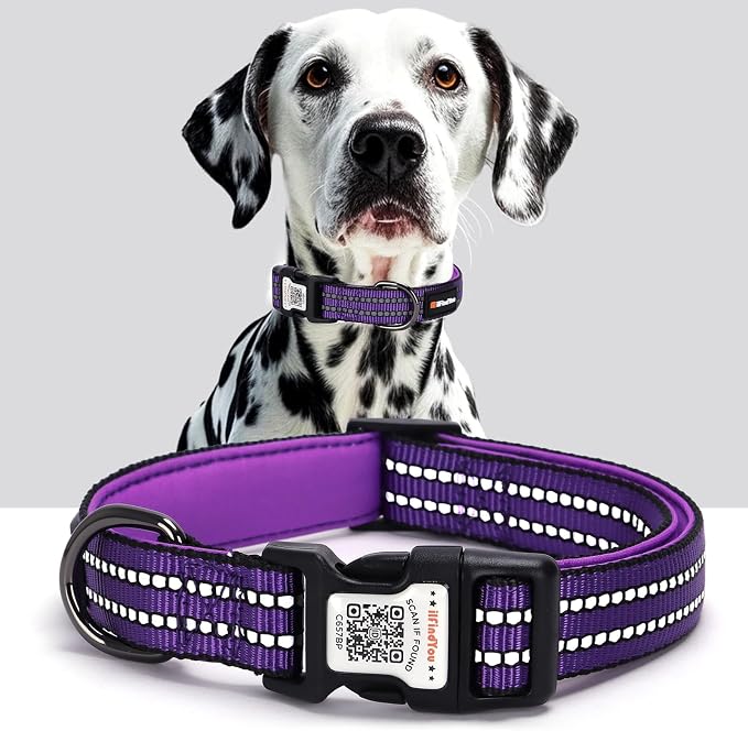 Personalized Dog Collar with QR Code Dog Tag, Purple S | Anti-lost, 1000D nylon, reflective, padded, XS-L(8"-24"), QR buckle shares lost pet profile, location alerts when scanned