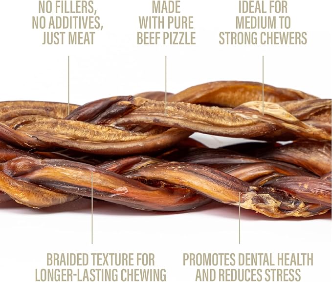 Chewer's Joy Braided Bully Sticks (3 Count) – Natural Dog Treats – Single Ingredient Long-Lasting Chews, High Protein