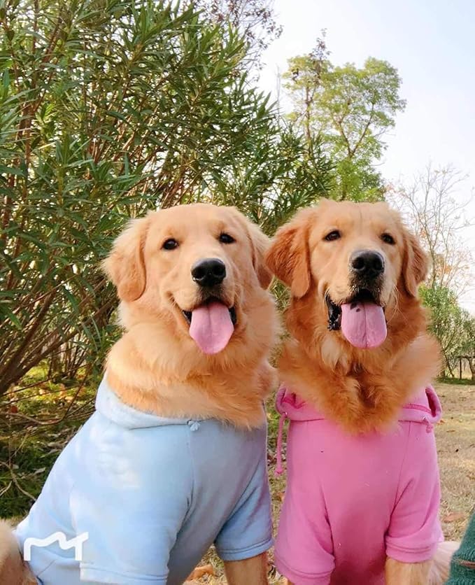 Lovelonglong Blank Basic Hoodie Sweatshirt for Dogs 100% Cotton Fits Small Medium Dachshund Large Dog Sky-Blue 3XL