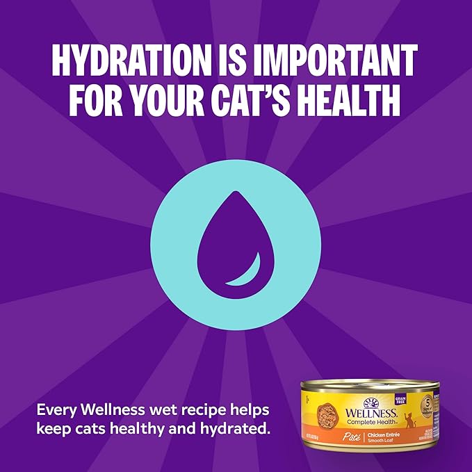 Wellness Complete Health Gravy Adult Wet Cat Food, Natural, Protein-Rich, Grain Free, 5.5 Ounce, 12 Pack, (Salmon Entree)