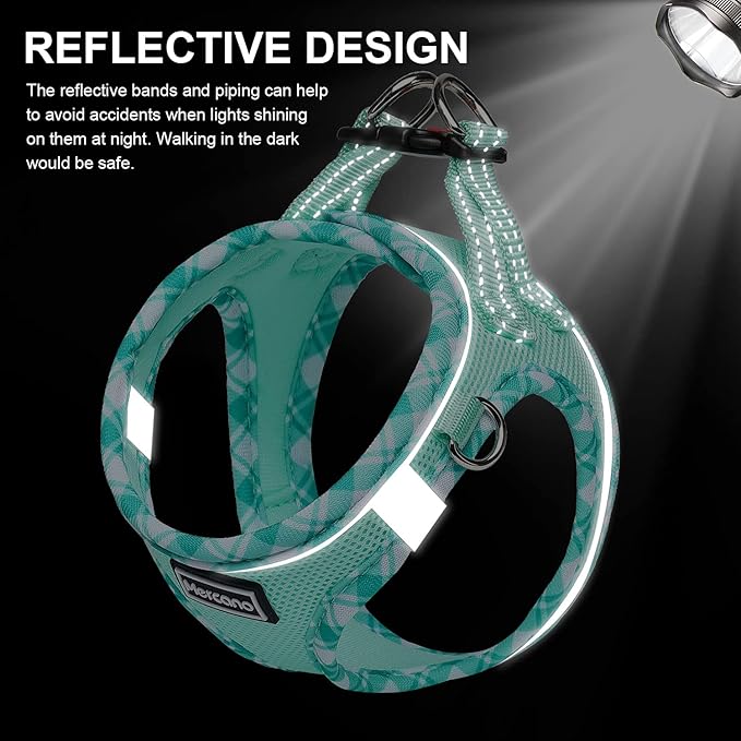 Mercano Soft Mesh Dog Harness and Leash Set, No-Chock Step-in Reflective Breathable Lightweight Easy Walk Vest Harnesses with Safety Buckle for Small Dogs, Cats (Light Green, XXS)