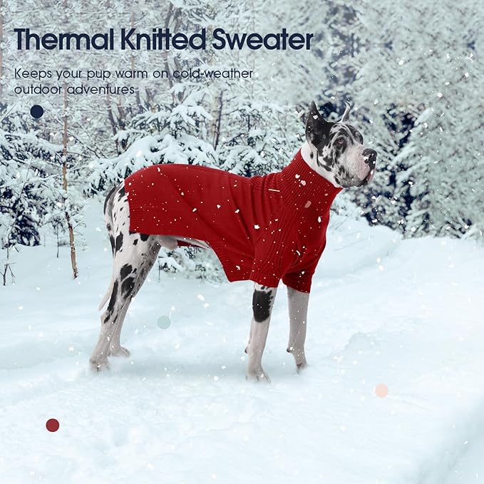 IECOii Dachshund Sweater,Turtleneck Dog Sweater for Small Medium Dogs Girl Boy,Stretchy & Breathable,Warm Knitted Pullover Coat,High Neck Knitwear for Cold Weather Indoor & Outdoor Wear (Red,M)