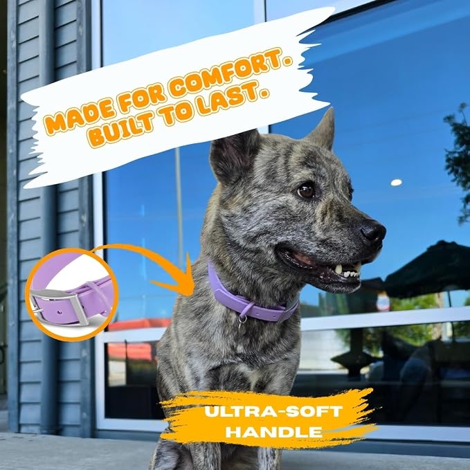 Waterproof Dog Collar, Soft Comfortable Pet Collars, Adjustable Odor Proof Heavy Duty Dog Collars Easy to Clean for Large, Medium Small Dogs by Bee N Buu (Purple, Large (length15.5-19.5", Width 1"))