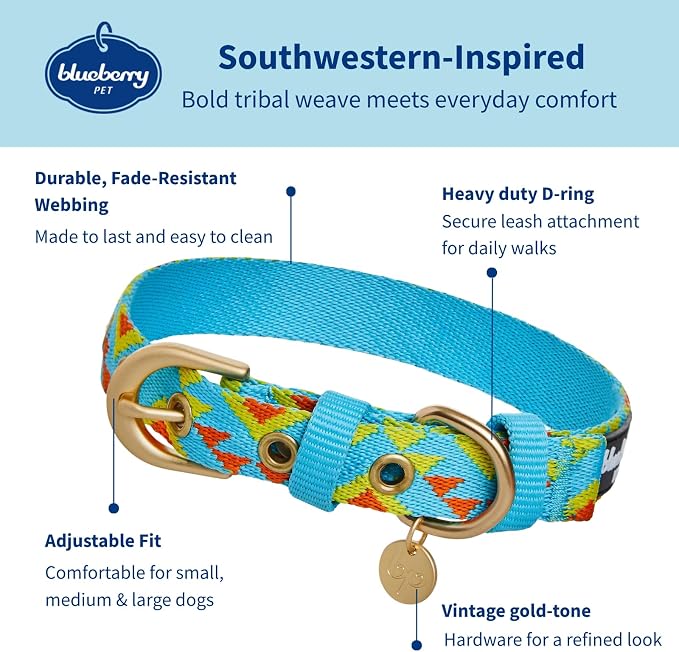 Blueberry Pet Southwestern Tribal Triangles River Blue Adjustable Dog Collar with Metal Buckle, Neck 13-16.5", for Medium Breed
