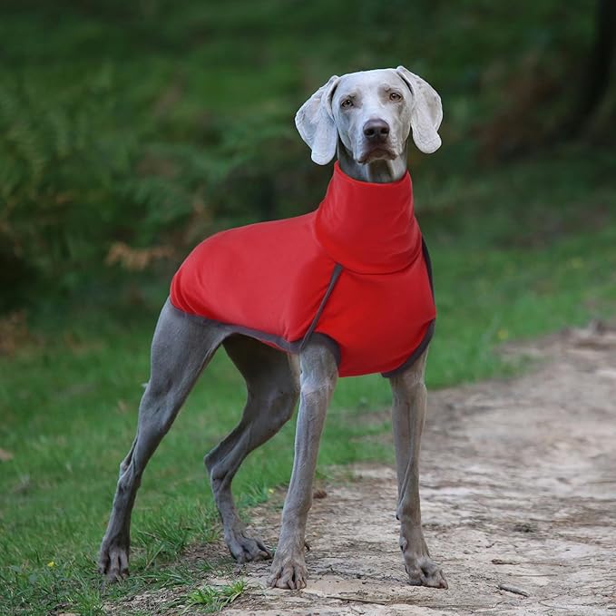 ROZKITCH Dog Winter Coat Soft Pullover Pajamas, Pet Windproof Warm Cold Weather Jacket Vest Cozy Jumpsuit Apparel Outfit Clothes for for Chritmas Walking Sleep BrightRed XS
