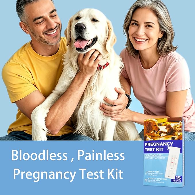 LBO Dog Pregnancy Test Kit at Home - 2 PCS Urine Early Pregnancy Test for Pet/Dogs/Cats (A-Urine 2PCS) Urine Pee Based no Blood Painless,Higher Accurate,10-15 Minute Results