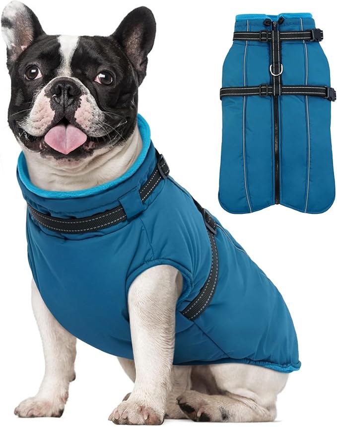 Lelepet Waterproof Dog Jacket with Harness Built in Warm Dog Winter Coat, Reflective Fleece Jacket Jacket, Dogs Coats for Small Dogs, Thermal Pet Snowsuit for Cold Weather Chihuahua, Maltese, Blue, XS