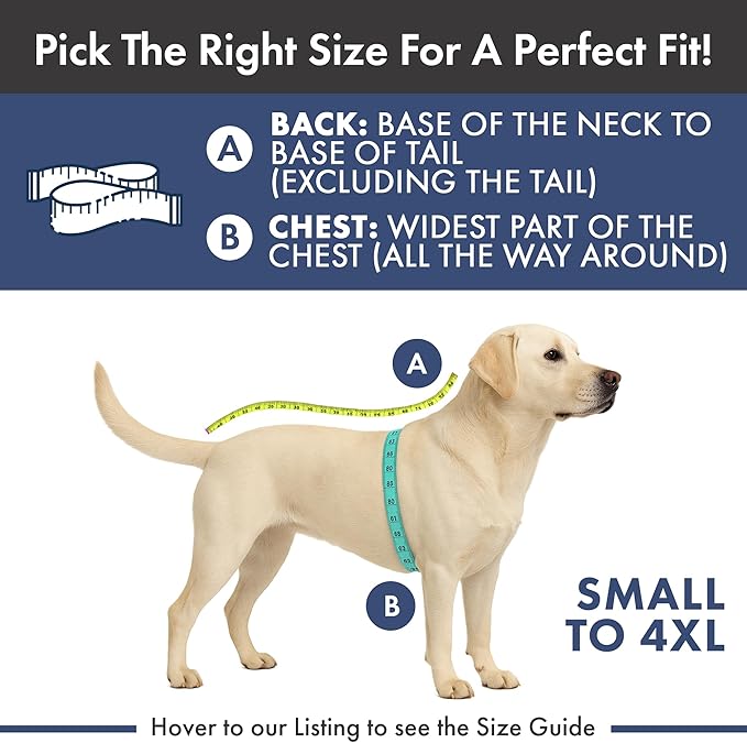 Spark Paws Christmas Dog Sweater - Ultra Soft Holiday Knit Sweater for Small, Medium & Large Dogs, Cute Pet Sweater for French Bulldogs & Big Dogs, Potty V Cut Design Jacket (Winter Wonderland, S)