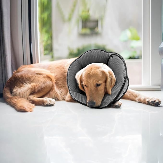 AuraPaw Soft Dog Cone for Medium Size Dogs,Breathble Adjustable Dogs Recovery Collar After Surgery,Protective Elizabethan Cones,E Collar Alternative to Stop Licking,Comfortable Dog Cones,Black,S