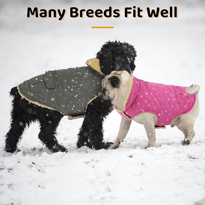 Queenmore Dog Winter Coat - Fleece Jacket, Waterproof Cold Weather Clothes, Thick Warm Cotton Padding, Easy On Storage Pockets (Pink, X-Large)