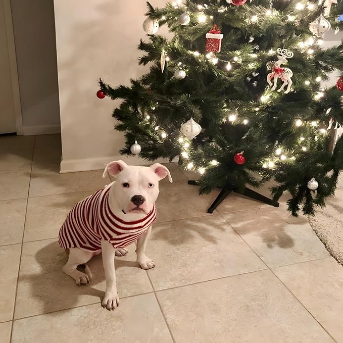 NACOCO Santa Claus Pet Sweater Dog Sweaters Cold Weather Outfit for Small to Medium Sized Dogs and Cats for Christmas Day (Santa Claus, X-Large)