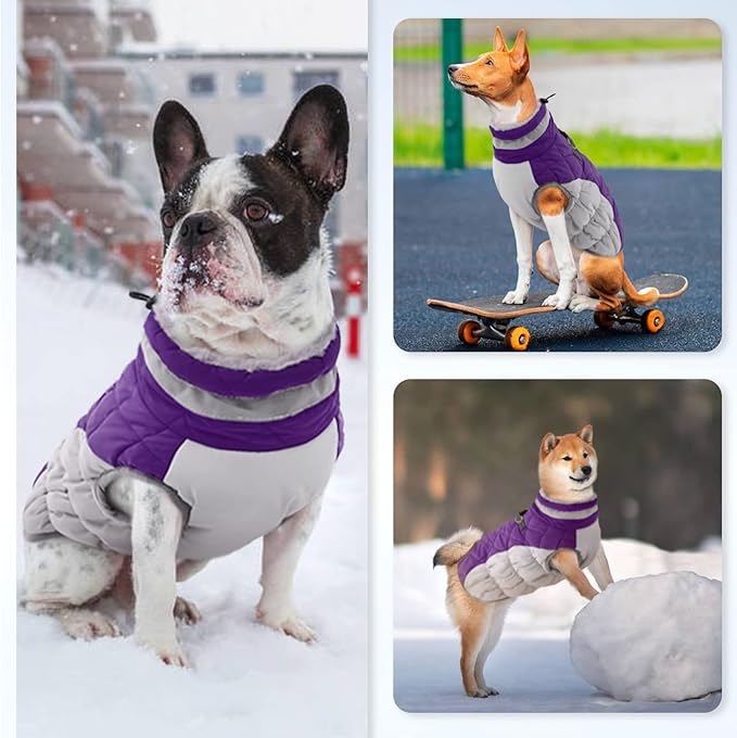 Winter Dog Coat,Large Dog Jacket,Waterproof Pet Jacket with Back Zipper,Pet Coat with Harness Built in,Warm Dogs Coat with Fleece Lined, Snow Jacket Clothes French Bulldog Shiba Inu,Purple,L