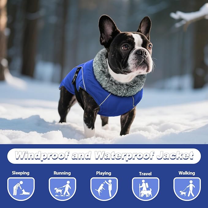 DENTRUN Winter Warm Dog Coat Reflective Jacket with Turtleneck for Cold Weather, Adjustable Buckle Windproof Water Repellent, Thick Snowsuit Fleece Vest for Small, Medium, Large Dogs, Blue, L