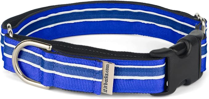 If It Barks 1" Martingale Collar with Quick Snap Release Buckle, Adjustable, USA Made, Small, Blueberry
