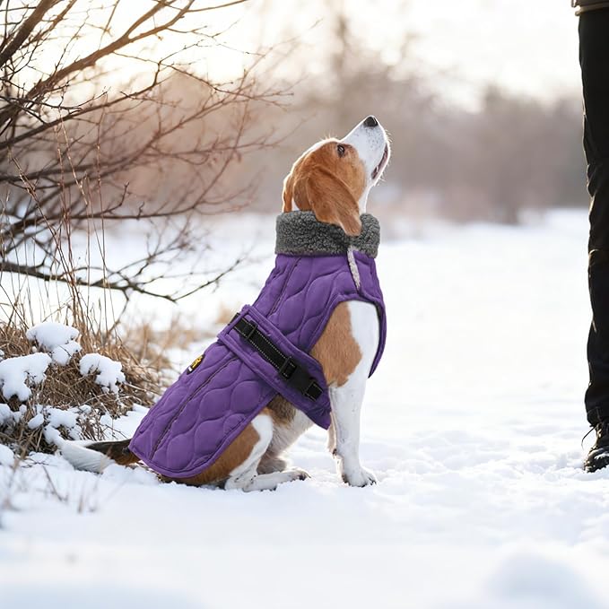 Dog Coat Winter, Waterproof Quilted Dog Jacket for Cold Weather, Reflective Adjustable Puppy Winter Coat, Warm Turtle-Neck Pet Fleece Snow Jacket for XX-Large Dogs, NewPurple XXL