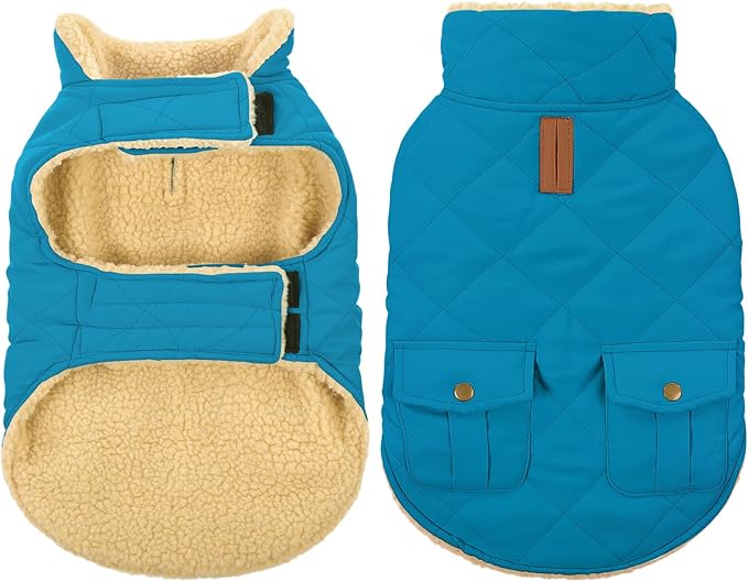 Queenmore Dog Winter Coat Warm Puffer Jacket Waterproof Plush Lining Thermal Cold Weather Vest for Small Medium Large Dogs, Windproof Easy On Pet Jacket Blue XS
