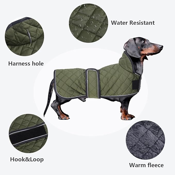 Dachshund Coat Dog Coats for Dachshunds Dachshund Winter Jacket with Padded Fleece Outdoor Dog Clothes with Adjustable Bands - Green - M