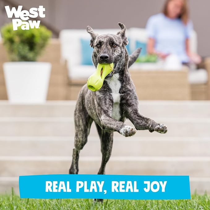 WEST PAW Qwizl Durable Zogoflex Dog Puzzle Toy for Mental Stimulation, and Enrichment - Treat Dispensing for Bully Sticks and Dental Sticks - Dishwasher Safe - Made in USA - Small - Granny Smith