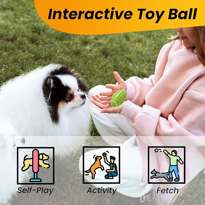 Puppy Toy, Interactive Squeaky Dog Ball Toys for Small Dogs