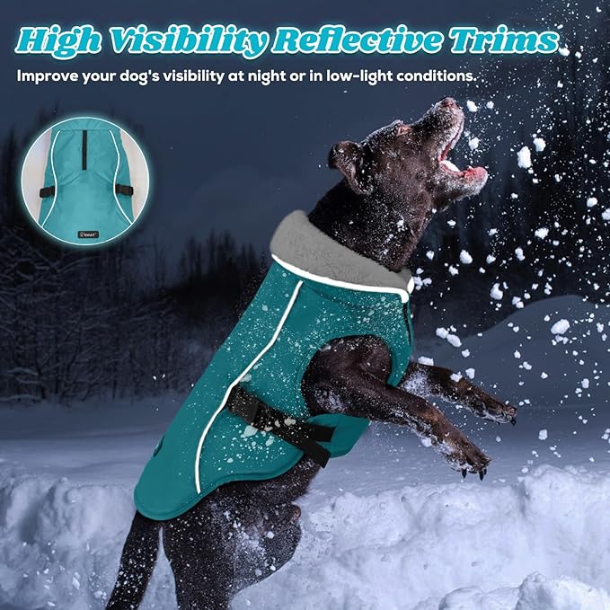 EMUST Winter Dog Jacket, Windproof Dog Apparel for Cold Weather, Reflective Coats for Dogs, Warm Puppy Jacket for Cold Winter, Turquoise, S