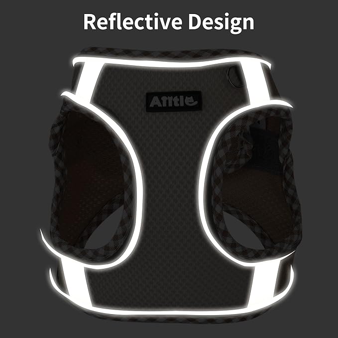 AIITLE XXS Dog Harness & Leash Set - Breathable Reflective No-Choke Small Dog Harness for Teacup Puppies, Indoor/Outdoor Use - Boston Terrier, Maltese, Chihuahua (Turquoise, XXS)