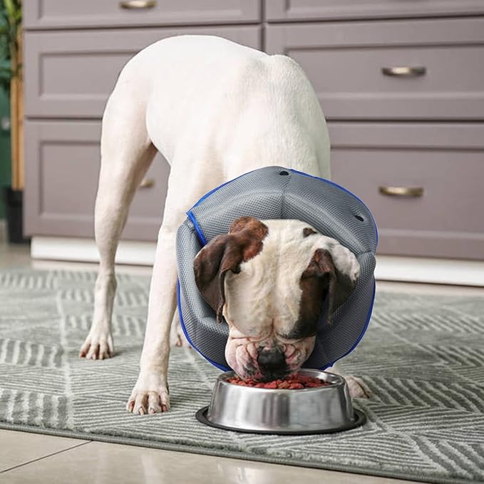 AuraPaw Soft Dog Cone Collar Alternative to Stop Licking,Comfort Recovery Collar for Large, Medium,Small Dogs,Cat,Adjustable Elizabethan Collar Alternative,Dogs Recovery Collar After Surgery,Blue,S