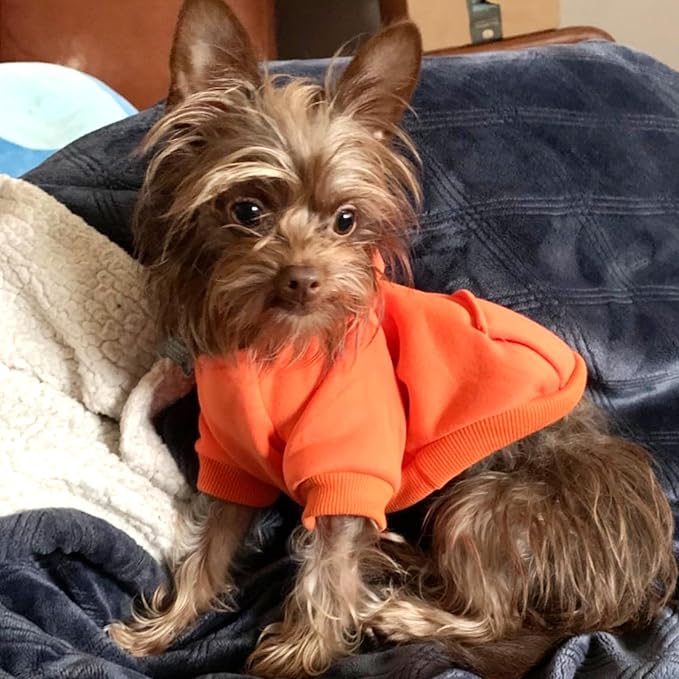 Jecikelon Winter Dog Hoodie Sweatshirts with Pockets Warm Dog Clothes for Small Dogs Chihuahua Coat Clothing Puppy Cat Custume (Orange, Medium)