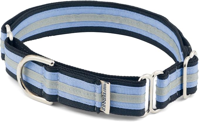 If It Barks 1" Martingale Collar for Dogs, Adjustable Nylon, USA Made, Medium, Black Ice