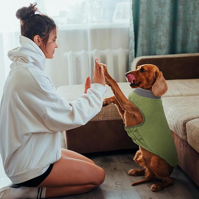 Queenmore Dog Sweater,Soft Fleece Vest Pullover Dogs Jacket with Elastic Stretchable,Warm Winter Dog Coats Cold Weather Doggy Dachshund Sweaters for Small Dogs Cats Boy or Girl (Green, M)