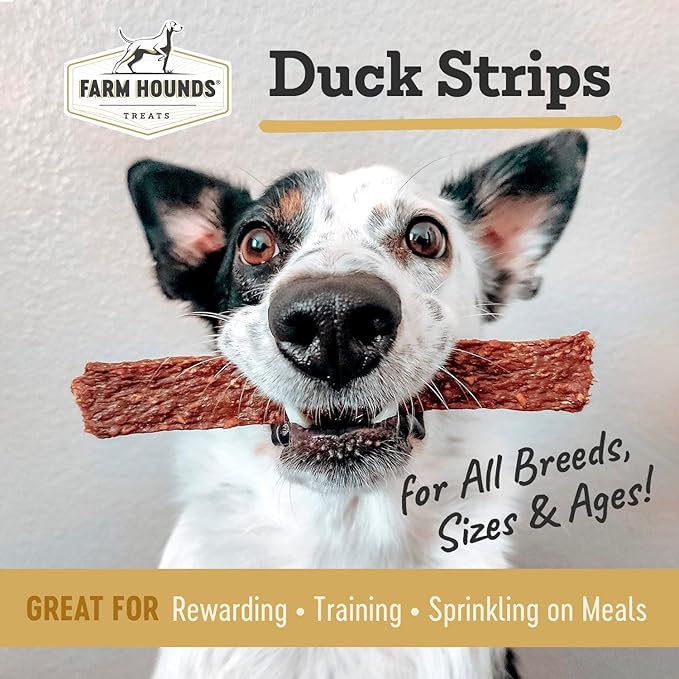 Farm Hounds - Duck Strips - Premium Natural Jerky for Dogs - Made from 100% Humanely Raised Duck - Great for Training & Treats - No Added Fillers - Made in USA - 4.5 oz - 2 Pack