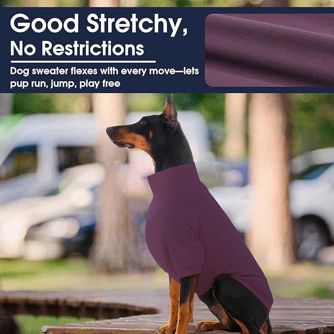 IECOii 2 Pack Dog Fleece Sweater for Small Dogs, Warm Dog Turtleneck with Stretch for Dachshund, Cozy Fall Winter Pullover Dogs Sweatshirt with Sleeve, Indoor & Outdoor Sweaters for Walking, M