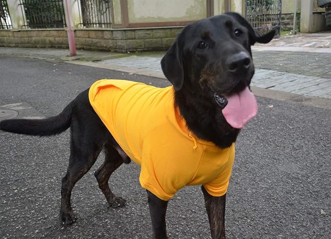 Lovelonglong Blank Basic Hoodie Sweatshirt for Dogs 100% Cotton Fits Small Medium Dachshund Large Dog Orange L