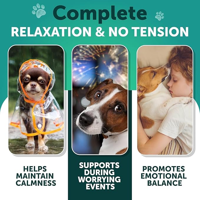 Hemp Calming Chews for Dogs - Dog Calming Chews - Dog Anxiety Relief Treats with Hemp Oil, Turmeric, Valerian, Ginger - Health and Wellness Supplements for Dogs - Hip and Joint Support - 70 Treats