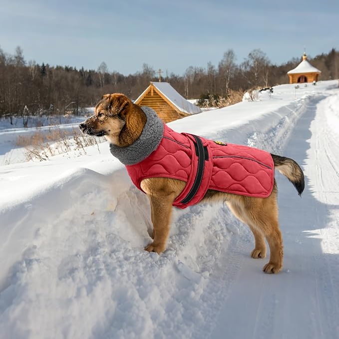 Dog Coats, Warm Puppy Apparel with Fleece Lining for Cold Weather, Windproof Medium Dog Winter Jacket, Reflective Dogs Snow Coat with Leash Hole and Adjustable Buckle, NewRed M