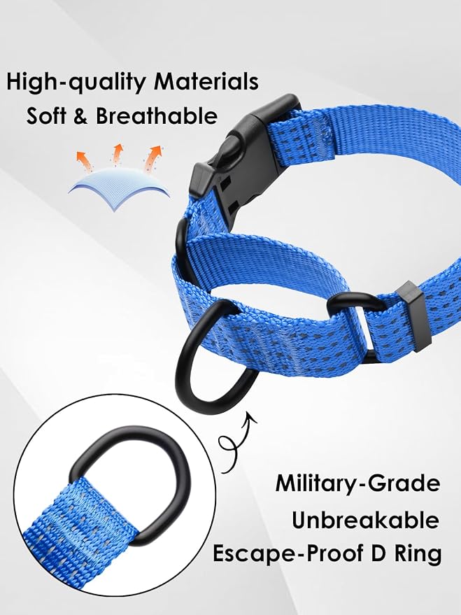 Martingale Dog Collar, Reflective No Pull with Buckle, Blue, S