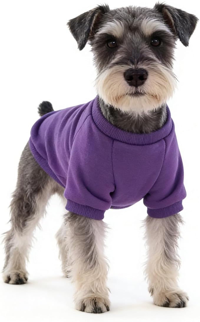 2 Pack Dog Hoodie for Small Dogs, Dog Sweatshirt Soft Warm Pullover Dog Clothes with Ribbed Cuffs for Schnauzer/Poodle/Chihuahua (Blue+Purple, XX-Large)