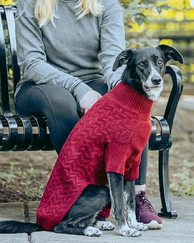 Blueberry Pet Dog Sweater - Award Winning Brand Dog Christmas Sweater, Super-Soft Yarn, Improved Design, Lightweight & Warm, Ideal for Small Dogs, Back Length 22", Chest Girth 30.25"-33"