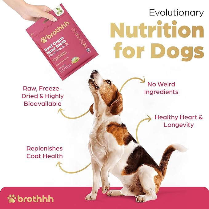 Beef Organ Bone Broth Meal Topper for Dogs - 100% Grass Fed, Veterinarian Approved, Non-GMO, Supports Joint Health, Heart Health, Vision, and Vitality - Made in The USA by Brothhh - Powder Supplement