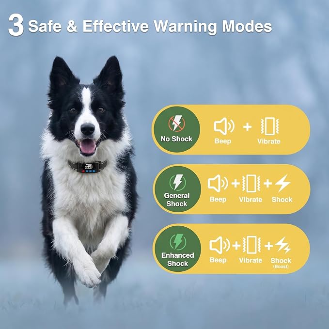 PATPET GPS Wireless Dog Fence | No-Dig, 9999-Yard Range | IP67 Waterproof Collar, 3 Modes for Medium & Large Dogs
