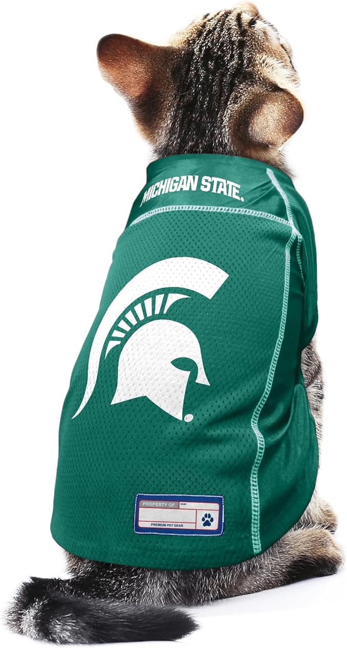 Littlearth Unisex-Adult NCAA Basic Pet Jersey